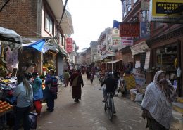 Campane Tibetane Torino, immagini da Boudhanat